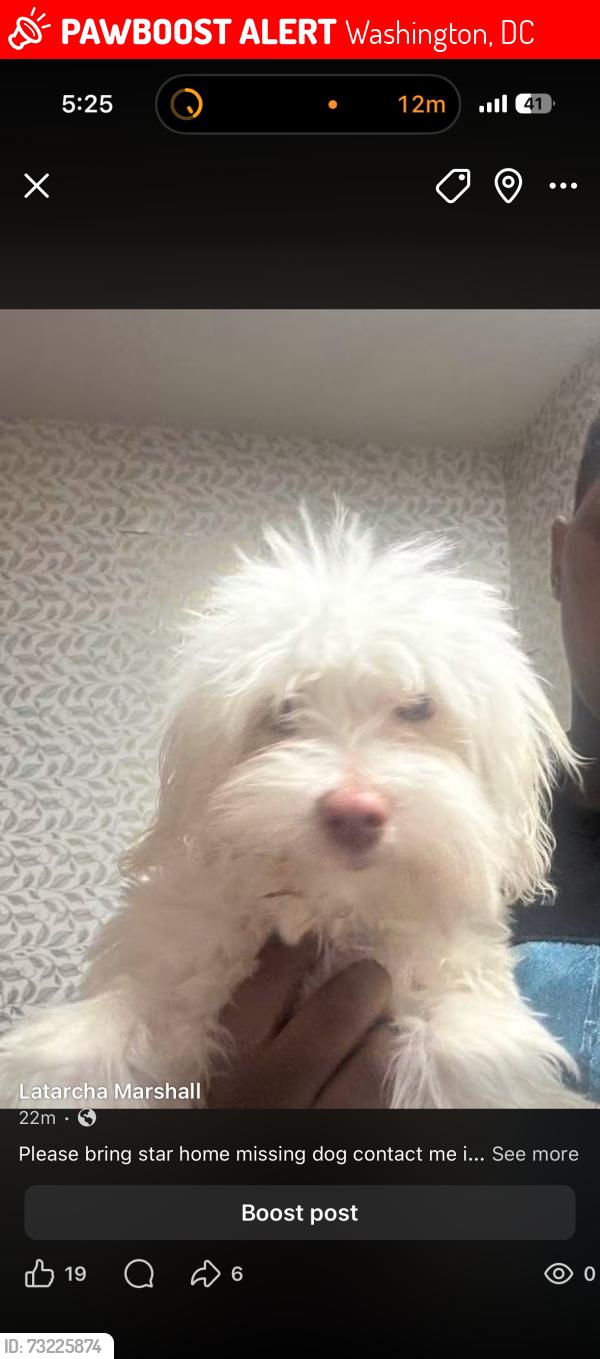 Lost Female Dog last seen Raynolds Pl se Washington dc, Washington, DC 20020