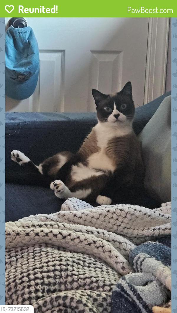 Reunited Female Cat last seen St. Claire Ave., Lochmoor Waterway Estates, FL 33903