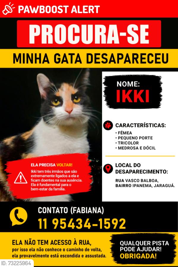 Lost Female Cat last seen Rua Vicente Mazzetti com Vasco Balboa, Jardim Ipanema(Zona Oeste), SP 05187-000