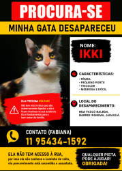 Lost Female Cat last seen Rua Vicente Mazzetti com Vasco Balboa, Jardim Ipanema(Zona Oeste), SP 05187-000