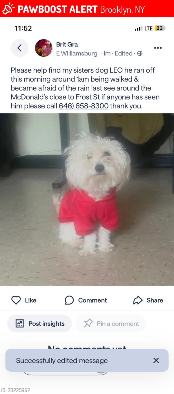 Lost Male Dog last seen McDonald by Frost St, Brooklyn, NY 11222