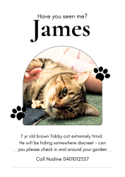 Lost Male Cat last seen near Sydney road and Albion, Brunswick, VIC 3056