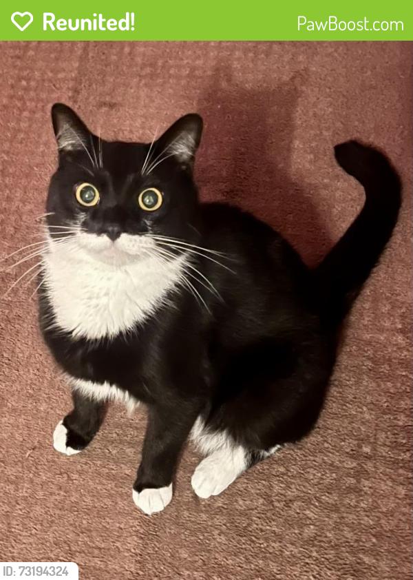Reunited Male Cat last seen W Hewett Rd and Starlight Ln, Santa Rosa Beach, FL 32459