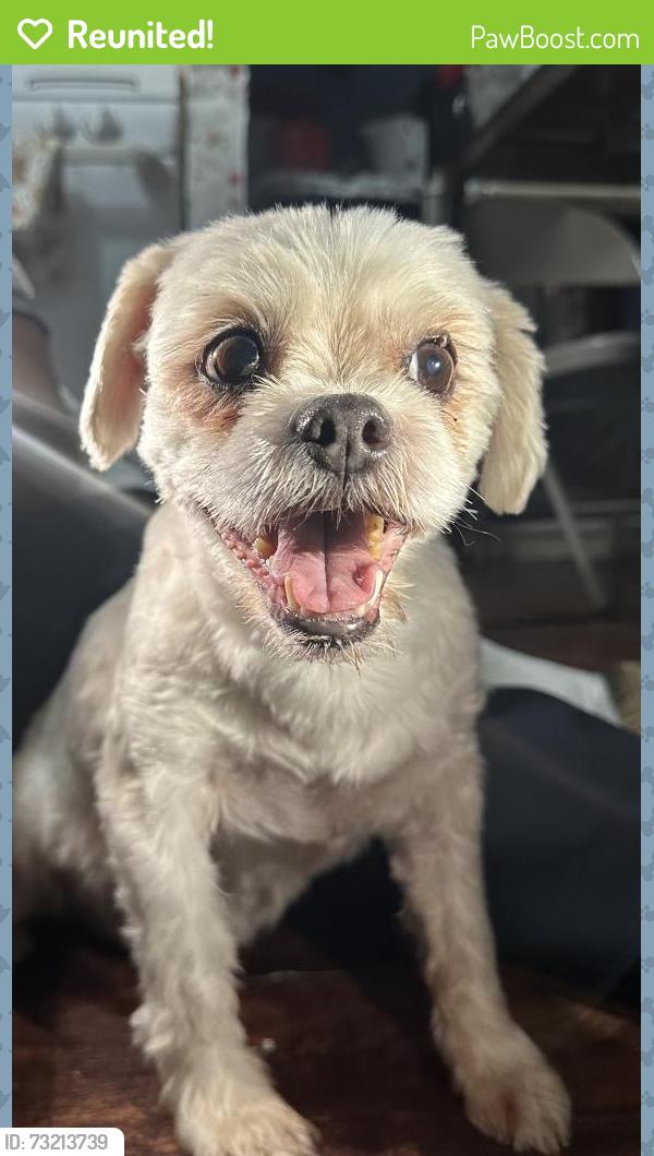 Reunited Male Dog last seen Corona Ave, Queens, NY 11368