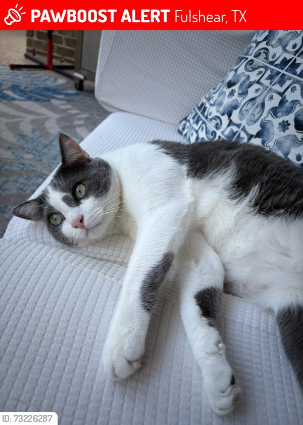Lost Male Cat last seen Lodge ranch ct., Fulshear, TX 77441