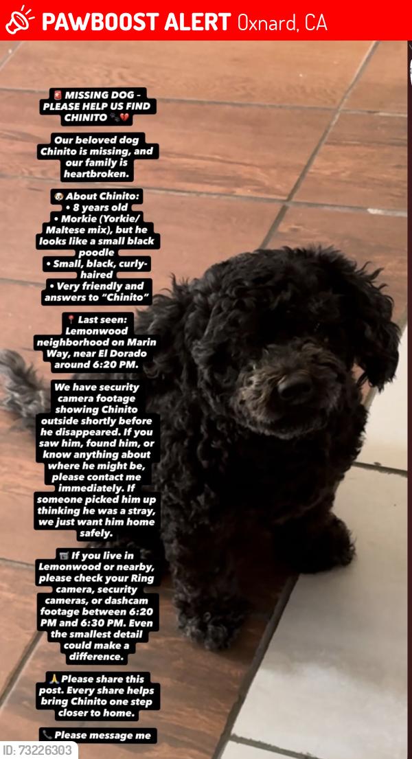 Lost Male Dog last seen El dorado, Oxnard, CA 93033