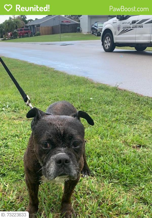 Reunited Male Dog last seen Port Saint Lucie, Port St. Lucie, FL 34986