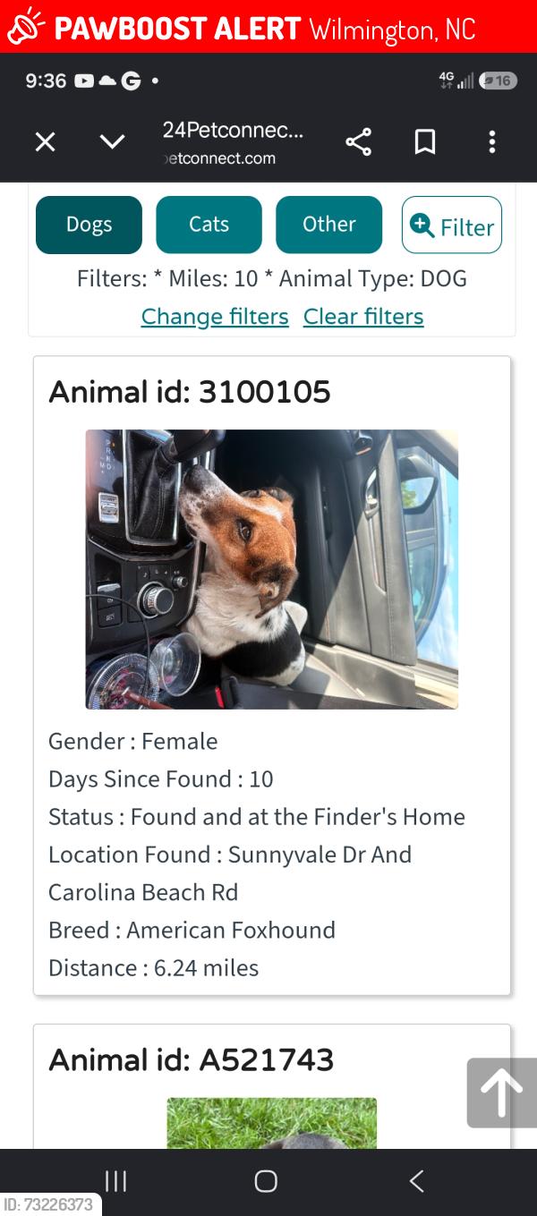 Lost Female Dog last seen Sunnyvale rd carolina beach rd, Wilmington, NC 28401
