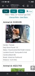 Lost Female Dog last seen Sunnyvale rd carolina beach rd, Wilmington, NC 28401