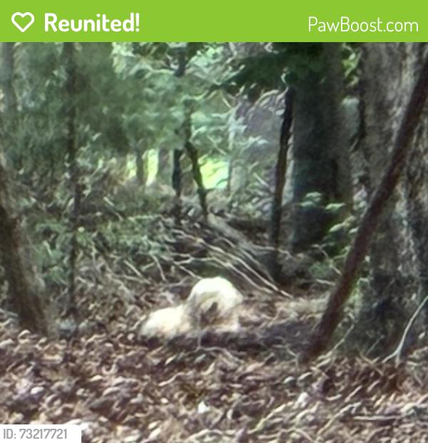 Reunited Unknown Dog last seen Country Par, Greensboro, NC 27455