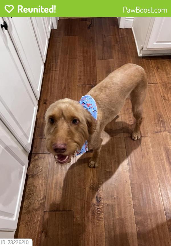 Reunited Male Dog last seen North Lagoon and Allison Ave, Panama City, FL 32408