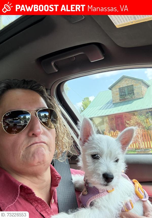 Lost Female Dog last seen River forest dr. Manassas Va, Manassas, VA 20112