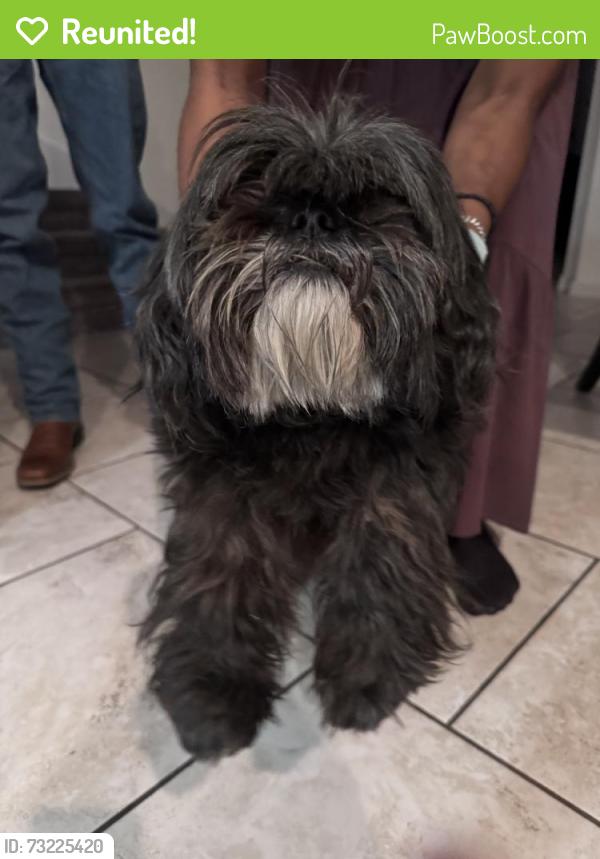 Reunited Female Dog last seen Lone Star Pkwy, San Antonio, TX 78253, USA, San Antonio, TX 78253