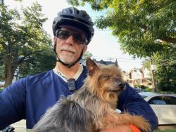 Found/Stray Unknown Dog last seen Chew, Philadelphia, PA 19144
