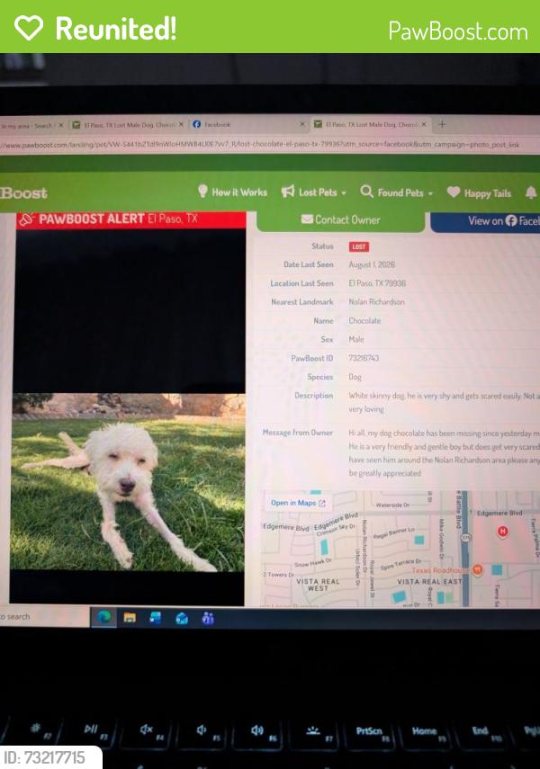 Reunited Male Dog last seen pebble hills and saul kliendfeld, El Paso, TX 79936
