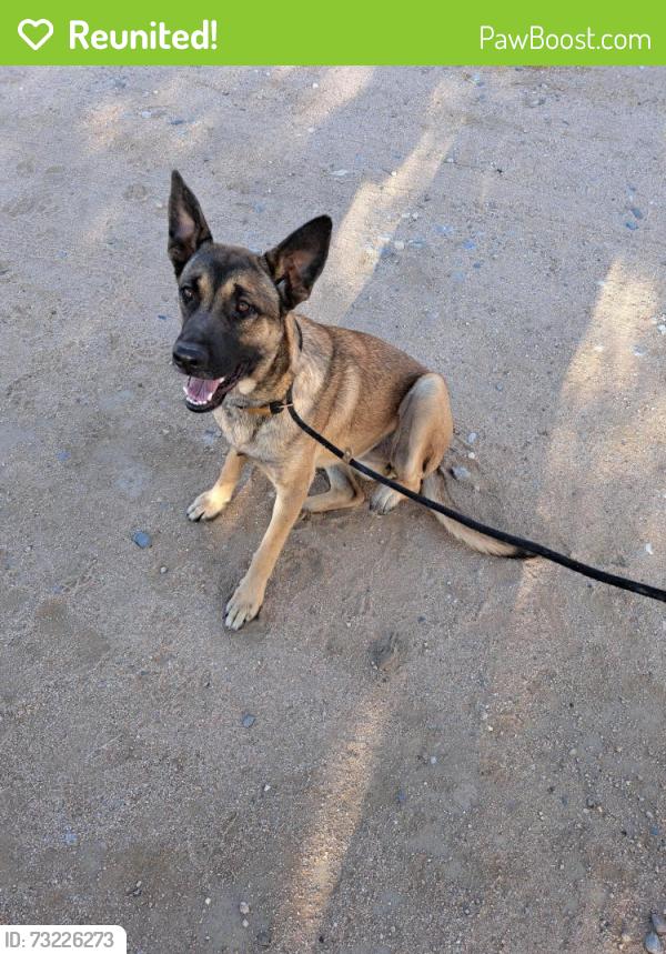Reunited Unknown Dog last seen Mandan Rd, Apple Valley, CA 92307