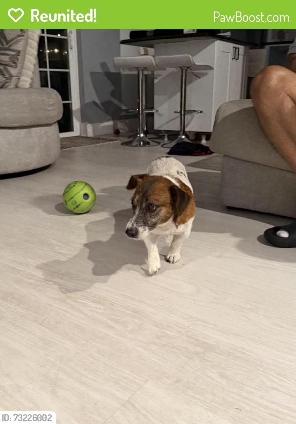 Reunited Male Dog last seen Near and East lake brantley, Wekiwa Springs, FL 32779
