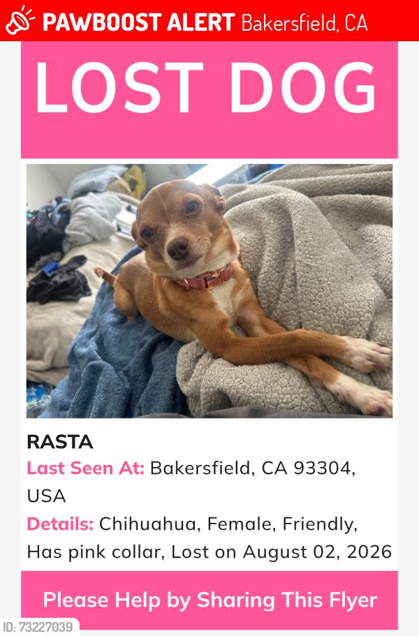 Lost Female Dog last seen Bakersfield California, Bakersfield, CA 93301