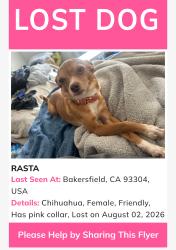 Lost Female Dog last seen Bakersfield California, Bakersfield, CA 93301