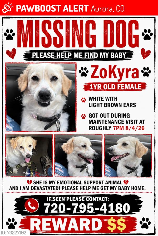 Lost Female Dog last seen Evans and havana, Aurora, CO 80247