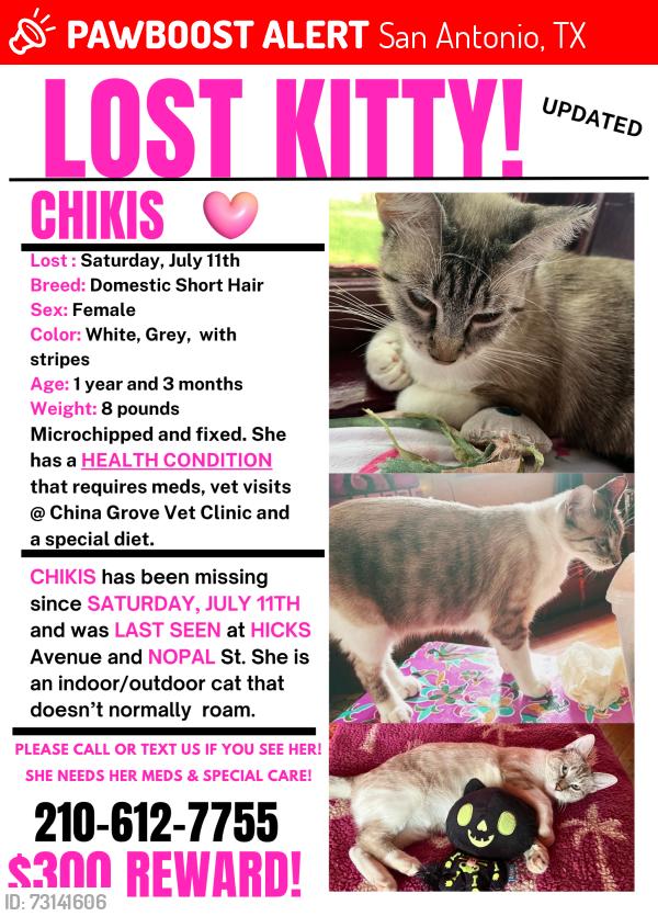Lost Female Cat last seen Hicks Avenue and Nopal St., San Antonio, TX 78210
