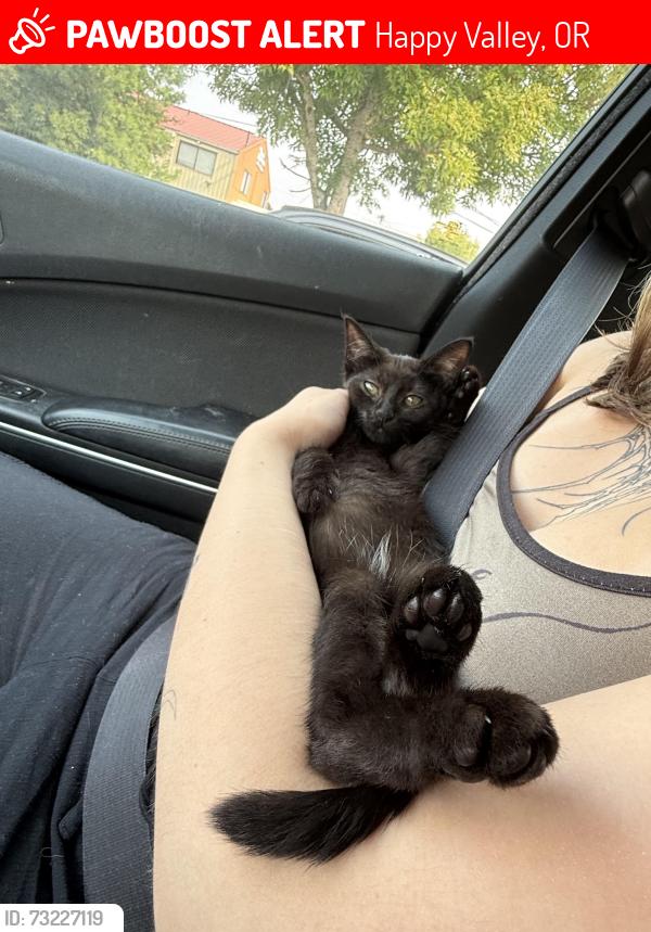 Lost Female Cat last seen In the parking lot of mt scott commons (next to mt scott elementary), Happy Valley, OR 97266
