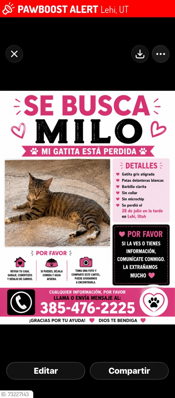 Lost Female Cat last seen Lehi, Utah EEUU, Lehi, UT 84043
