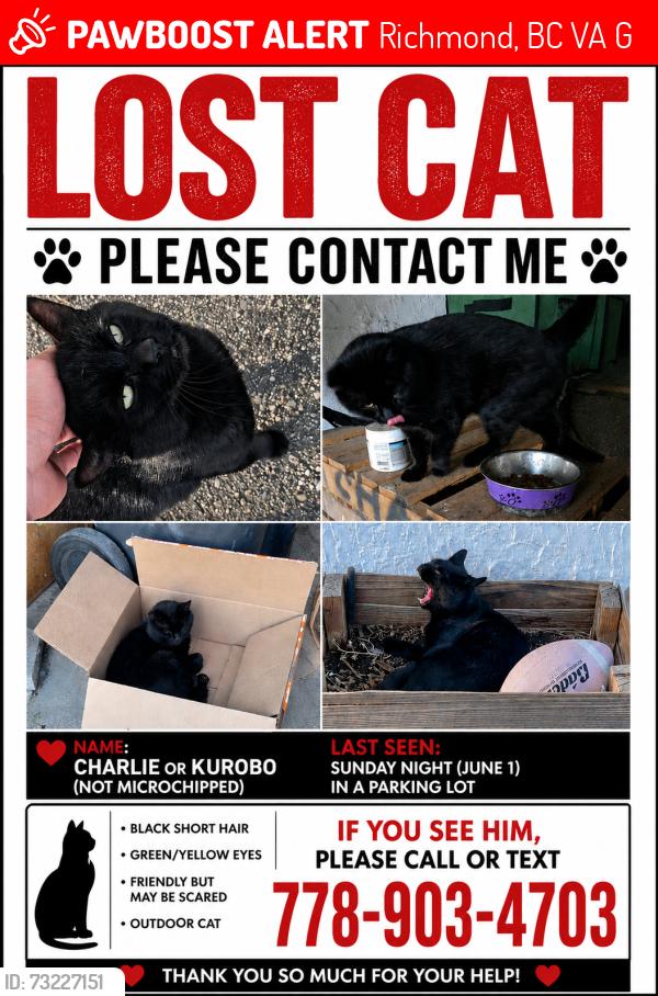 Lost Male Cat last seen Near Williams Rd #120, Richmond, BC V7A 0B4, Richmond, BC V7A 1G4
