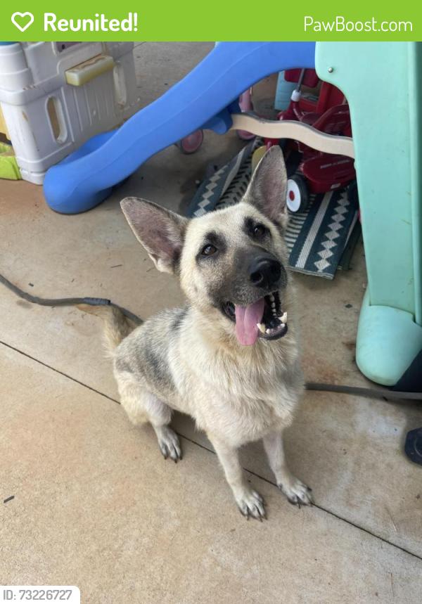 Reunited Unknown Dog last seen Friendship Ledford Road, Winston-Salem, NC 27107