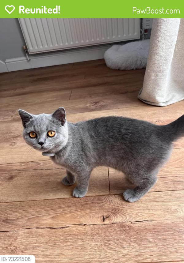 Reunited Male Cat last seen Longbridge Island, Rednal, England B45 8XU