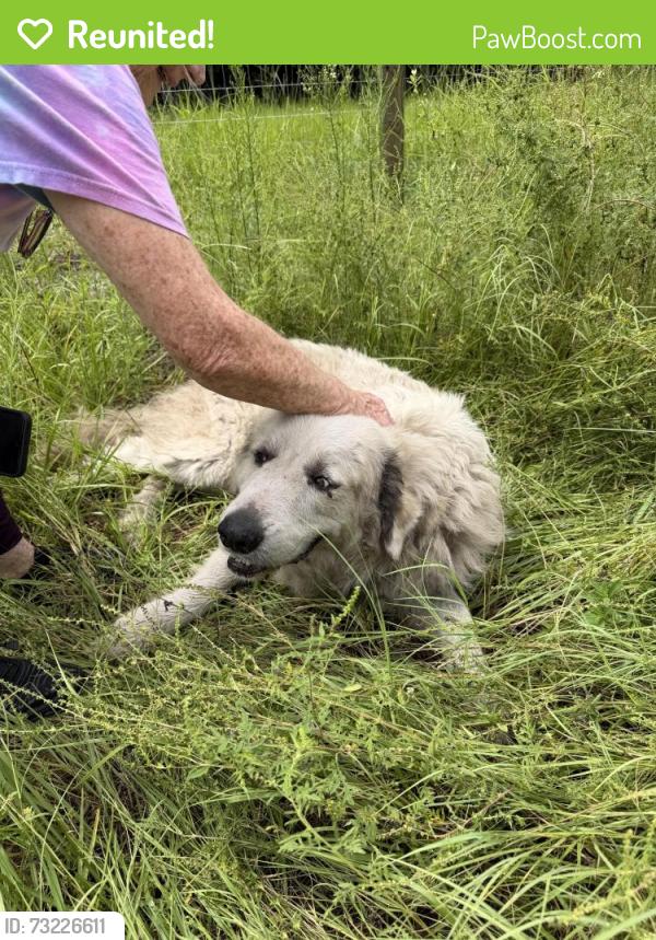 Reunited Male Dog last seen Parrish, Brevard County, FL 32754