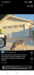 Found/Stray Unknown Dog last seen Borden and Rosales sylmar, Los Angeles, CA 91342