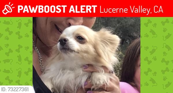 Lost Male Dog last seen Kedall, Lucerne Valley, CA 92356