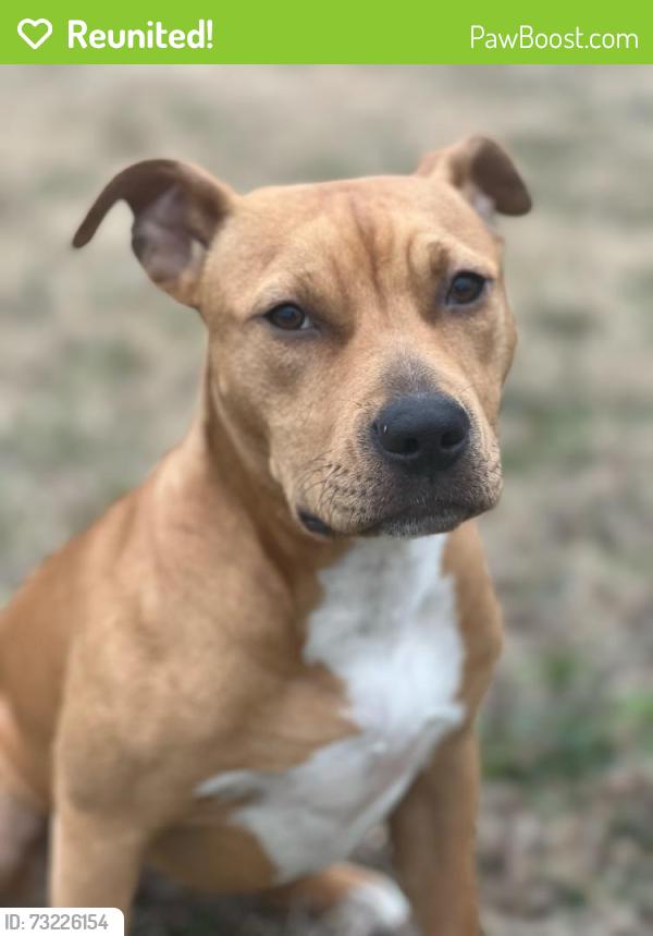 Reunited Female Dog last seen Farm Life School Rd and Ryegrass Lane, Carthage, NC 28327