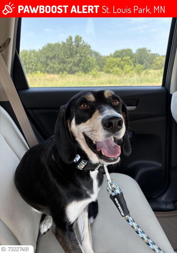 Lost Female Dog last seen Knollwood, St. Louis Park, MN 55426