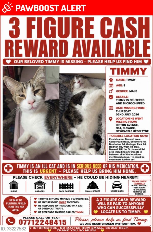 Lost Male Cat last seen Dipton Avenue, NE4, Newcastle upon Tyne, Tyne and Wear, England 