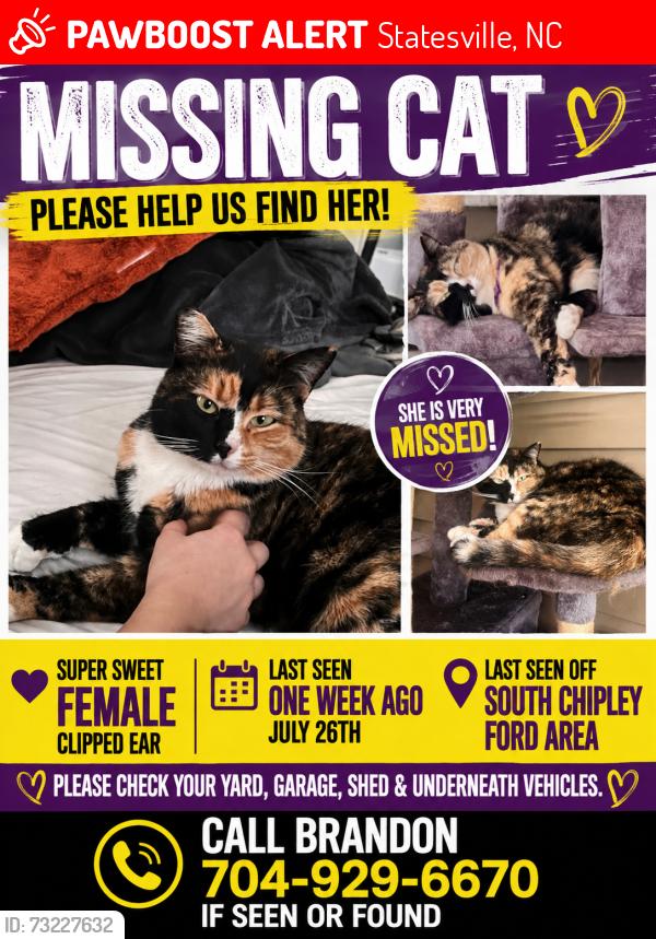Lost Female Cat last seen Chipley ford rd, Statesville, NC 28625