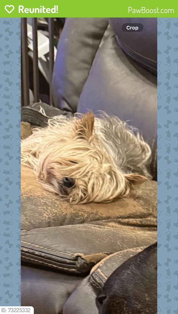 Reunited Male Dog last seen 187-15 Tioga Dr, Jamaica, NY 11412, USA, Queens, NY 11412