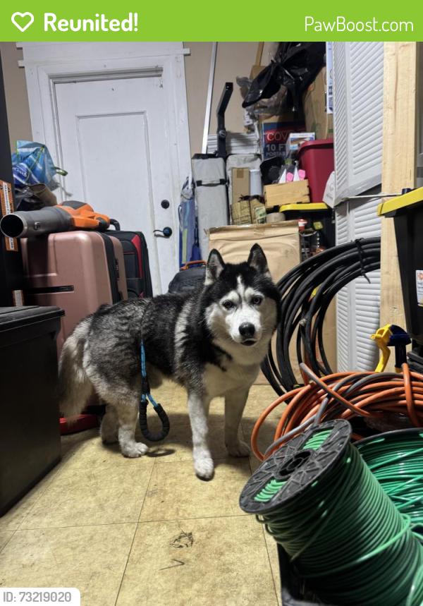 Reunited Unknown Dog last seen johnson st, Hollywood, FL 33021