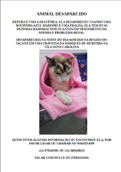 Lost Female Cat last seen Rua frei joao da cruz, Vila Nova Carolina, SP 02279-040