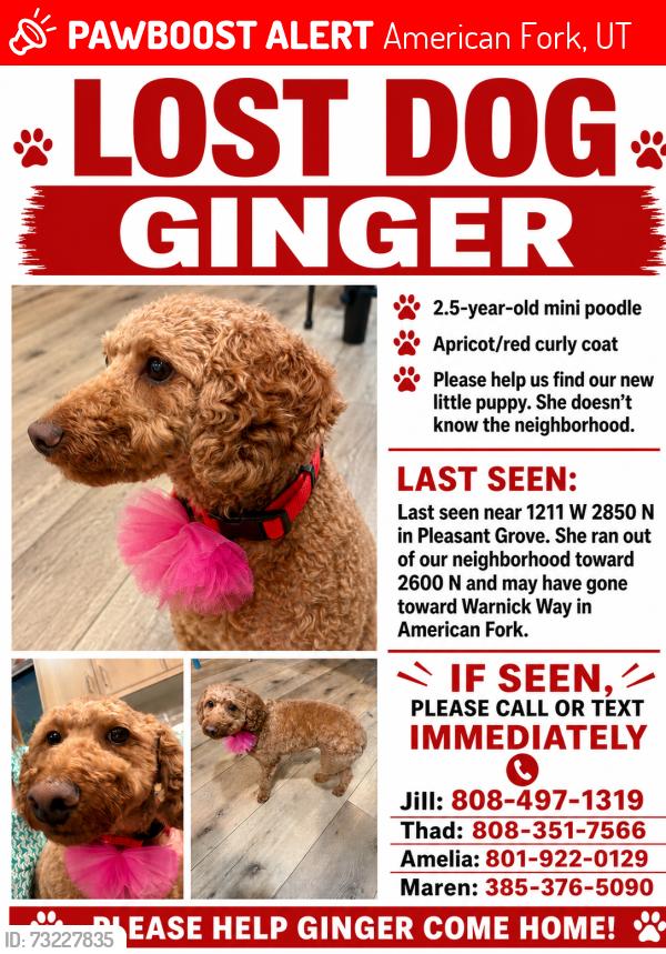 Lost Female Dog last seen warnick, American Fork, UT 84003