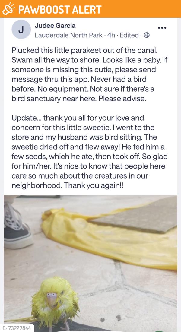 Found/Stray Unknown Bird last seen Lauderdale North Park, North Lauderdale, FL 33068