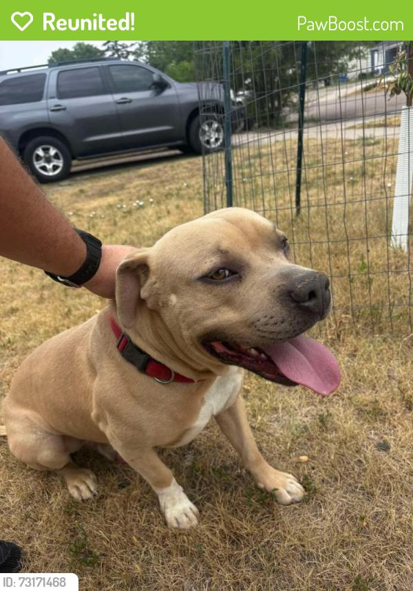 Reunited Male Dog last seen E Saint Francis, Rapid City, SD 57701