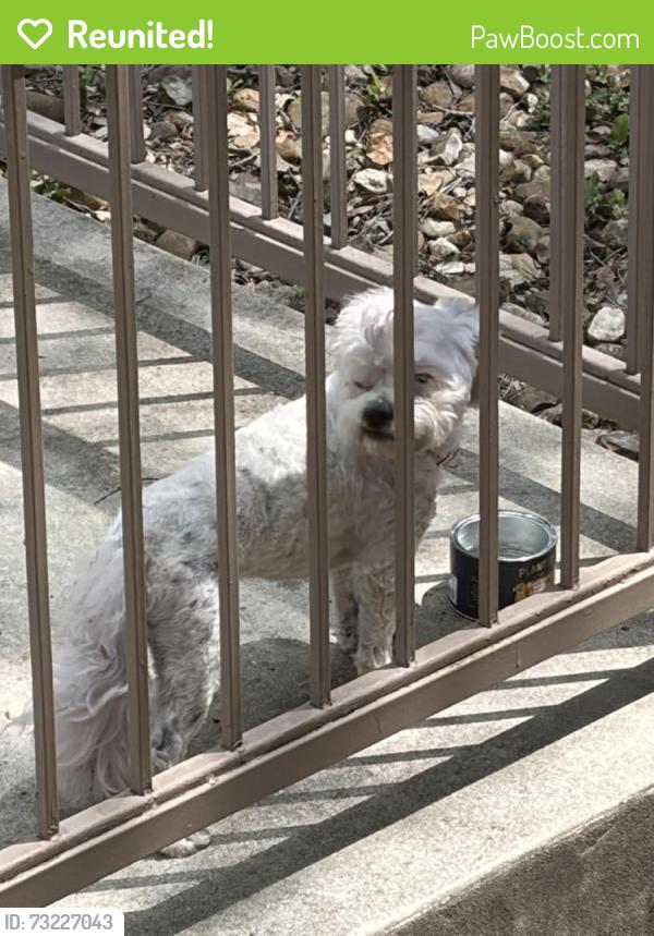 Reunited Male Dog last seen Loop 410, San Antonio, TX 78213