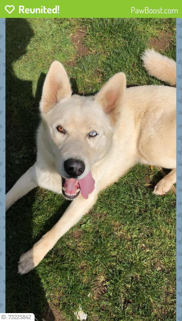 Reunited Male Dog last seen Sunrise Park in Troutdale, Troutdale, OR 97060
