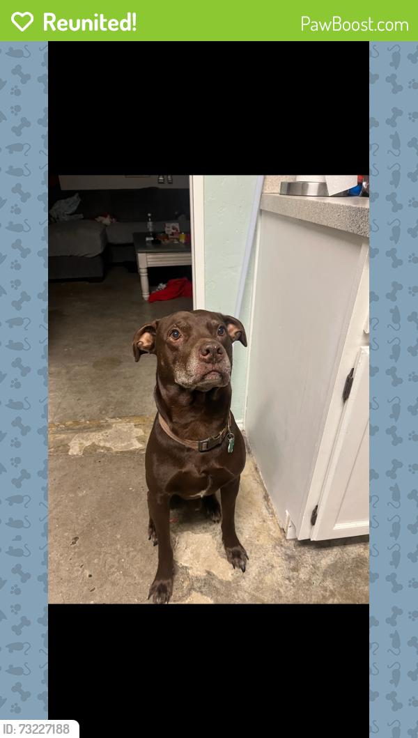 Reunited Male Dog last seen Silo and Valley spring. Ran towards Cravens we think, Arlington, TX 76018