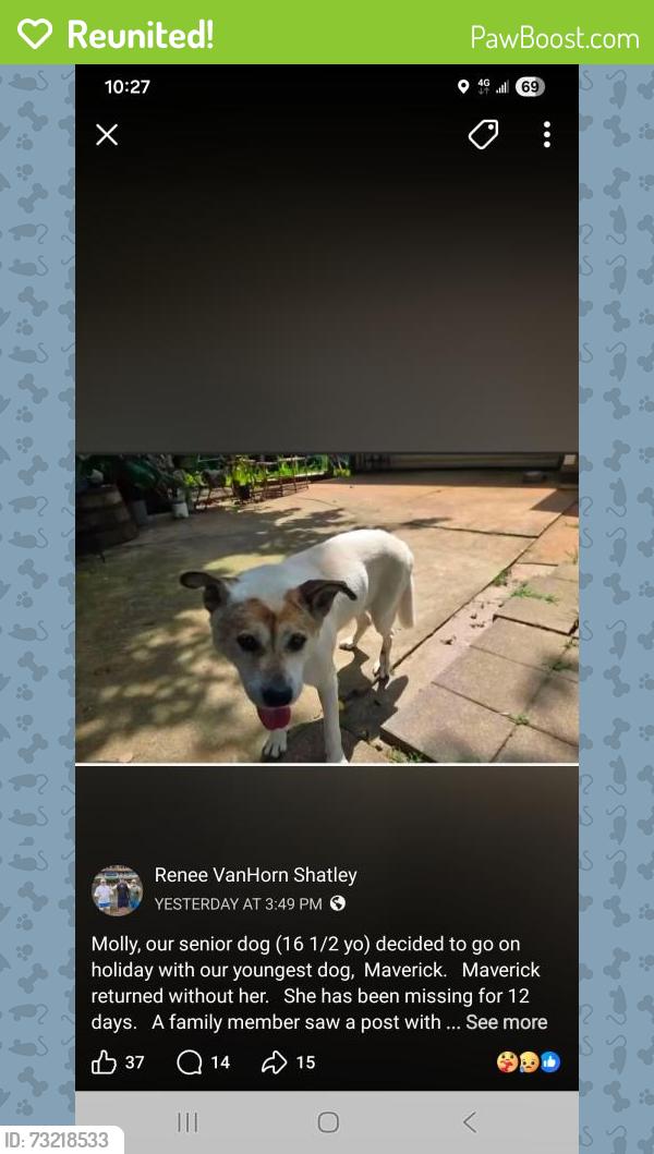 Reunited Female Dog last seen Abee Valley Rd, Connelly Springs nc, Burke County, NC 28612