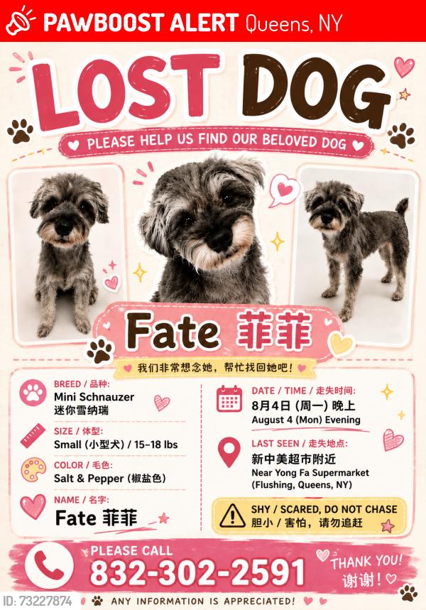 Lost Female Dog last seen Near the hosp, Queens, NY 11355