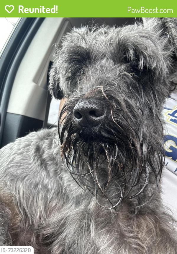 Reunited Male Dog last seen Walmart on 29th street and Nolana by de Leon park, McAllen, TX 78504