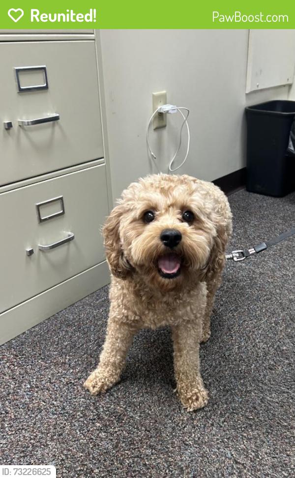 Reunited Male Dog last seen E Central Ave, Wharton, NJ 07885, USA, Wharton, NJ 07885